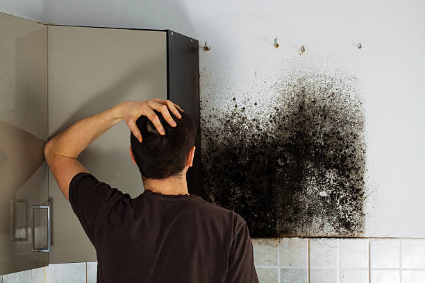 Water Damage Restoration in Coal City, WV